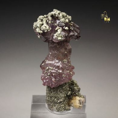 scepter QUARTZ var. AMETHYST with RUTILE inclusions, PYRITE