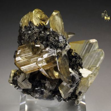 gem ANGLESITE, GALENA