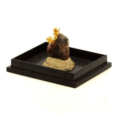 Native Gold. 11.80 ct.
