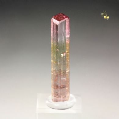 gem TOURMALINE var. ELBAITE bi-color