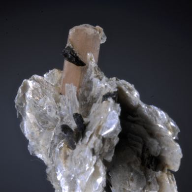 Serandite and Polylithonite with Aegirine