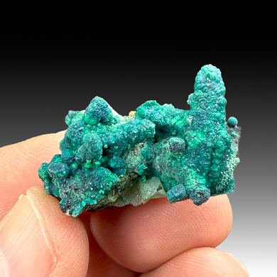 Chrysocolla on Quartz
