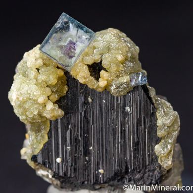 Fluorite, Arsenopyrite on Ferberite