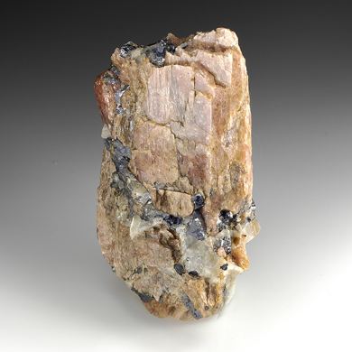 Bustamite with Galena