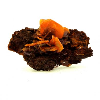 Wulfenite. 334.0 ct.