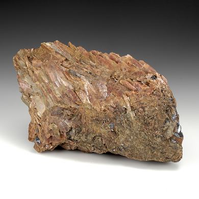 Bustamite