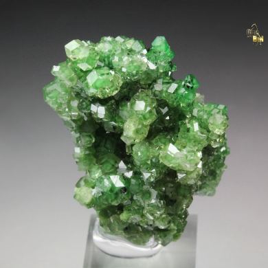 gem GARNET var. GROSSULAR with GREEN CHROMIAN PHANTOMS, CHROMITE