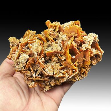 Wulfenite with Calcite