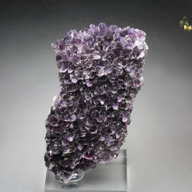 QUARTZ var. AMETHYST, PYRITE