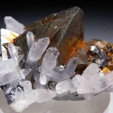 Tetrahedrite with Quartz