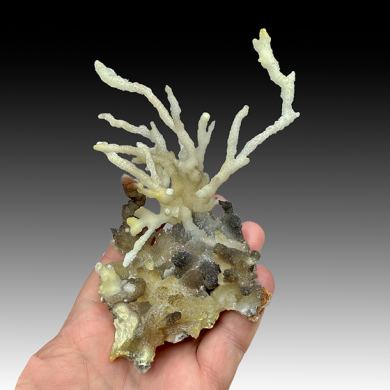 Aragonite