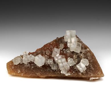 Halite with Picromerite