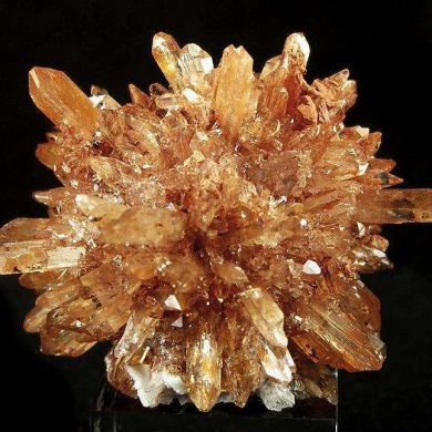 Creedite