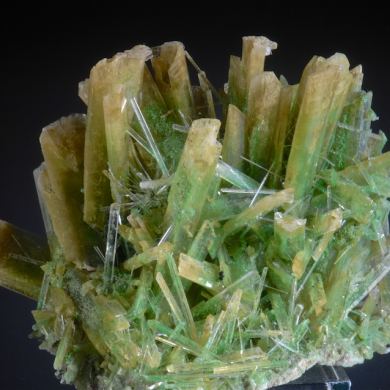 Selenite with Herbertsmithite inclusions