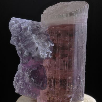Elbaite (Rubellite) with Lepidolite