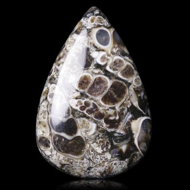 Turritella Agate 37,00 ct 