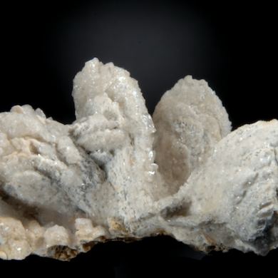 Apatite (Carbonate Apatite -Collophane) ps after Vivianite with Calcite