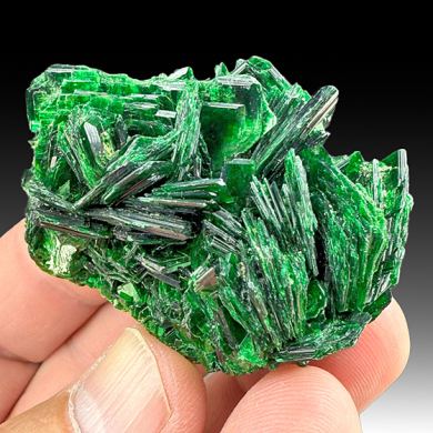 Metatorbernite