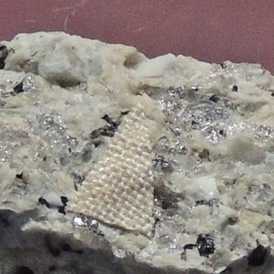 Gagarinite-Y