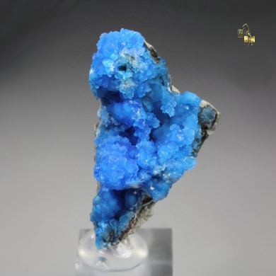 EVANSITE