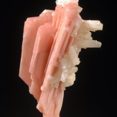 Serandite with Natrolite and Elpidite