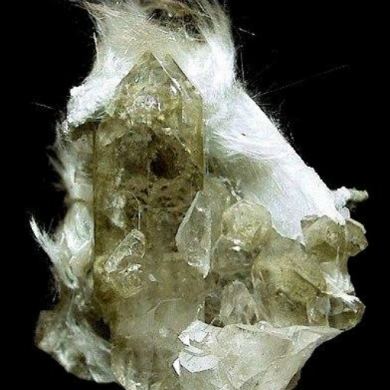 Quartz ( var. Smoky ) with Actinolite ( var. Byssolite )