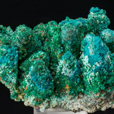 Cuprian Adamite, Rosasite, Smithsonite, Malachite on Calcite casts
