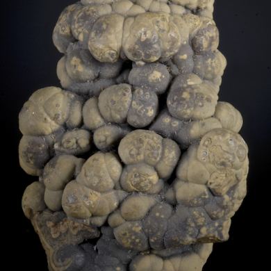 Sphalerite var. Schalenblende