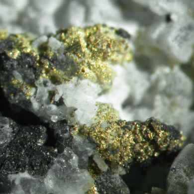 Or avec coloradoite, hessite et sylvanite dans du quartz / Localité - Mine Bessie G, comté de La Plata, Colorado