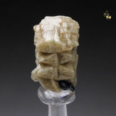 twinned WHITEITE (CaFeMg)
