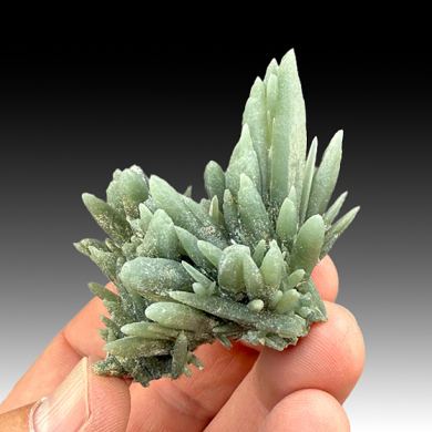 Quartz with Hedenbergite inclusions (305)