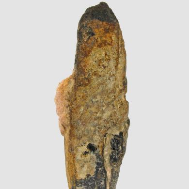 Columbite-Tantalite