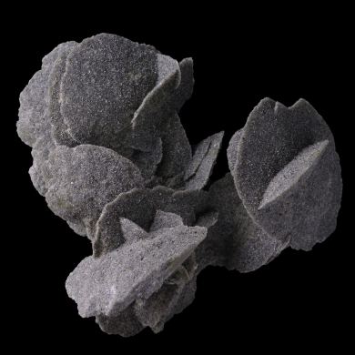 Gypsum flower Peru 
