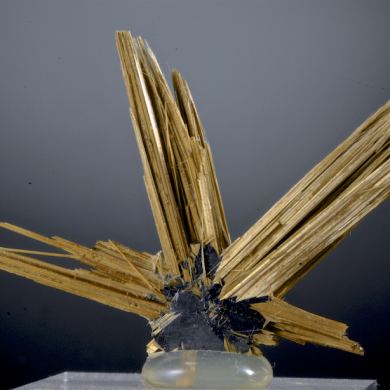Rutile - radiating twins on Hematite crystal
