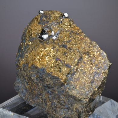 Sperrylite crystals with Native Gold on Chalcopyrite  (type locale)