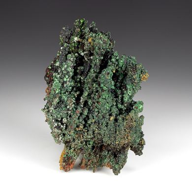 Zincolivenite with Adamite, Conichalcite, Goethite