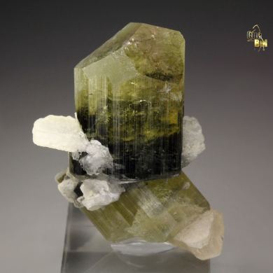 gem TOURMALINE var. ELBAITE, ALBITE