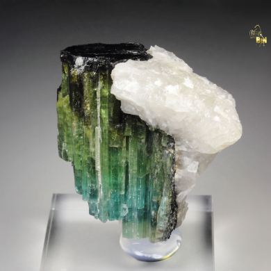 new find - gemmy TOURMALINE var. ELBAITE