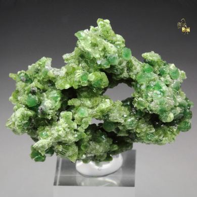 gem GARNET var. GROSSULAR with GREEN CHROMIAN PHANTOMS, DIOPSIDE