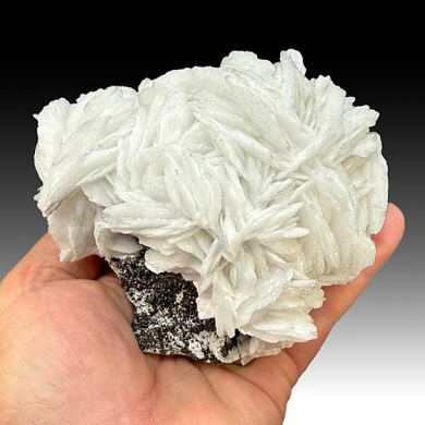 Barite with Sphalerite (2000)