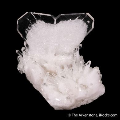 Quartz (Japan Law Twin) with Quartz