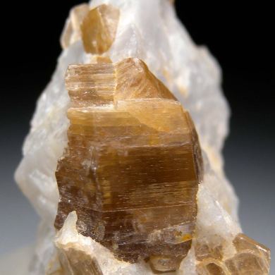 Phlogopite