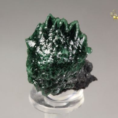 ZINCOLIVENITE