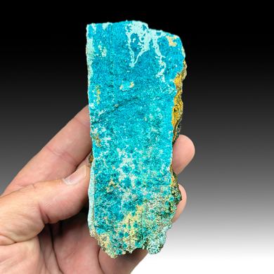 Serpierite