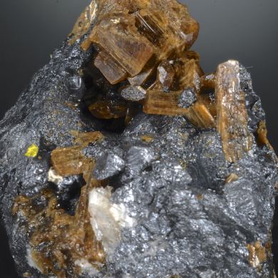 Richterite with Magnetite