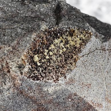 Zircon with Xenotime, Pyrite, Galena, Quartz