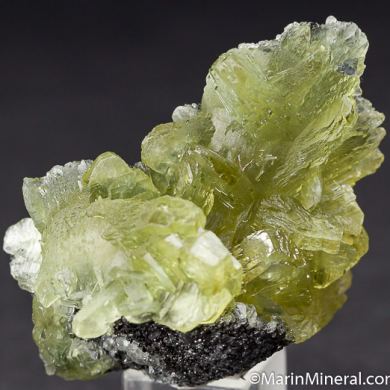 Prehnite on Graphite