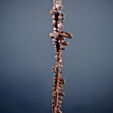 Copper -chain of Spinel twins