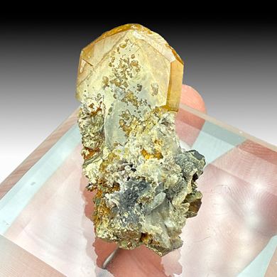 Barite with Pyrite (1557)