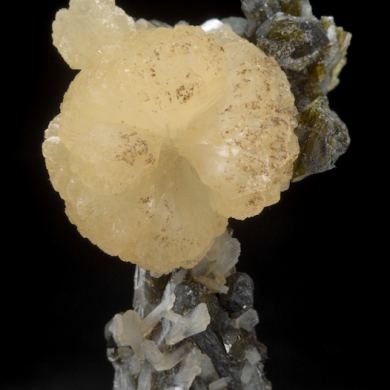 Stellerite 